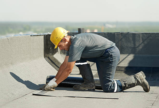 Best Insulation Installation Services in Ann Arbor, MI